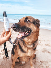 Load image into Gallery viewer, Perfect Coat