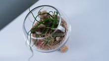 Load image into Gallery viewer, Mini Coastal Terrarium