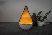 Load image into Gallery viewer, Vase Essential Oil Diffuser - Surf Coast Scent Company

